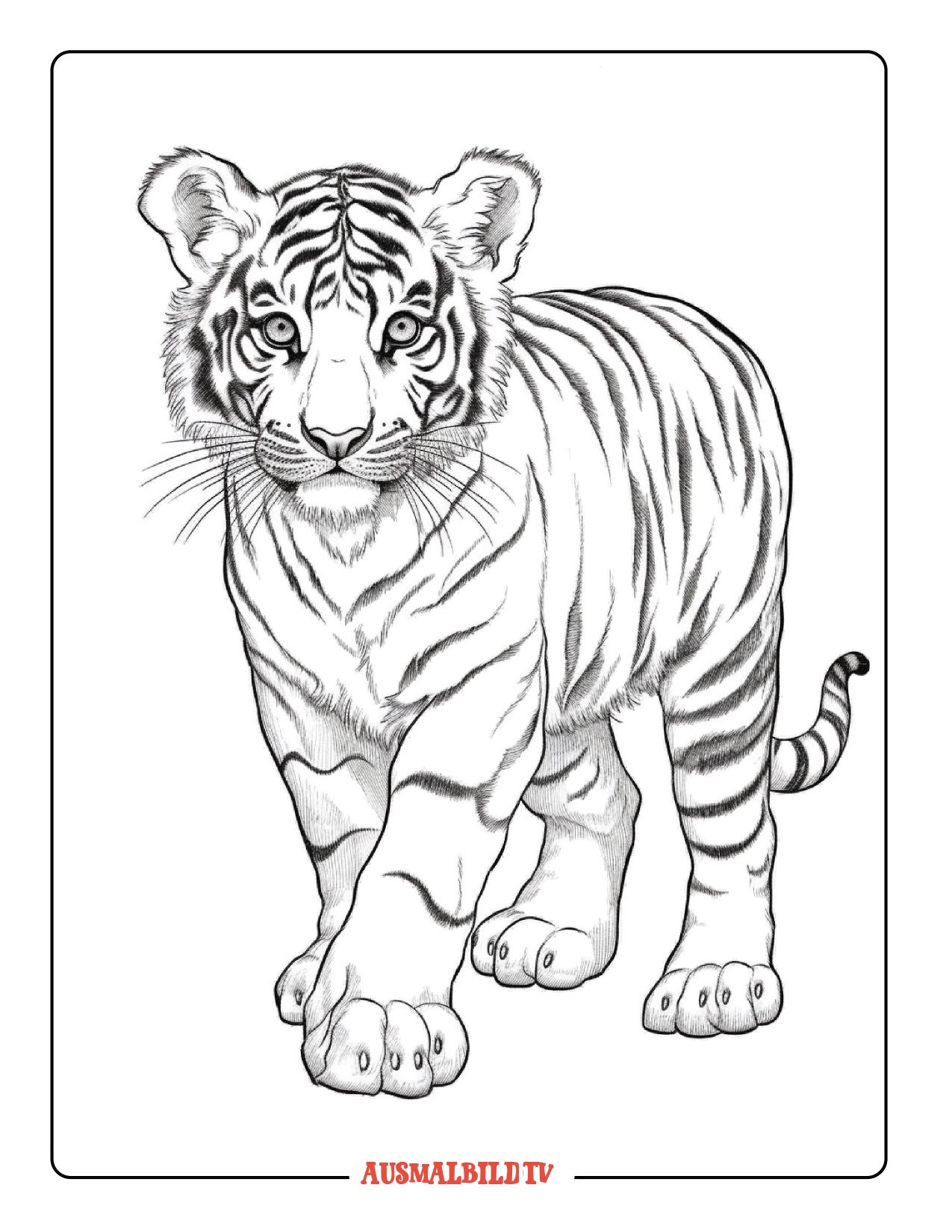 Tiere - Ausmalbilder Tiger zum Ausdrucken für Kinder und Erwachsene