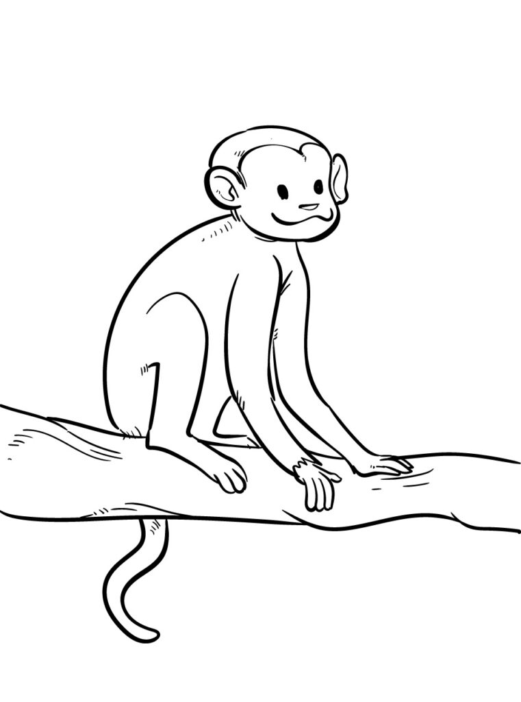 Ausmalbilder Affen. Malvorlagen Tiere von Sammlung (Aktualisiert)