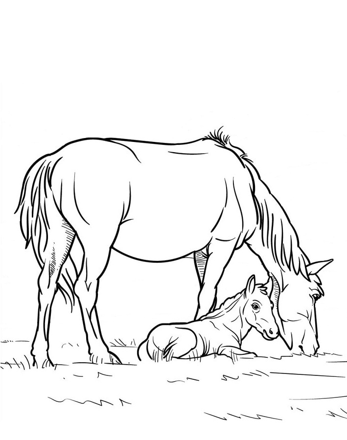 Ausmalbilder Pferde für Kinder