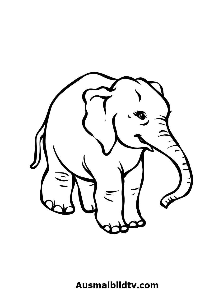 Lustige Elefant Ausmalbild Kostenlos zum Ausdrucken