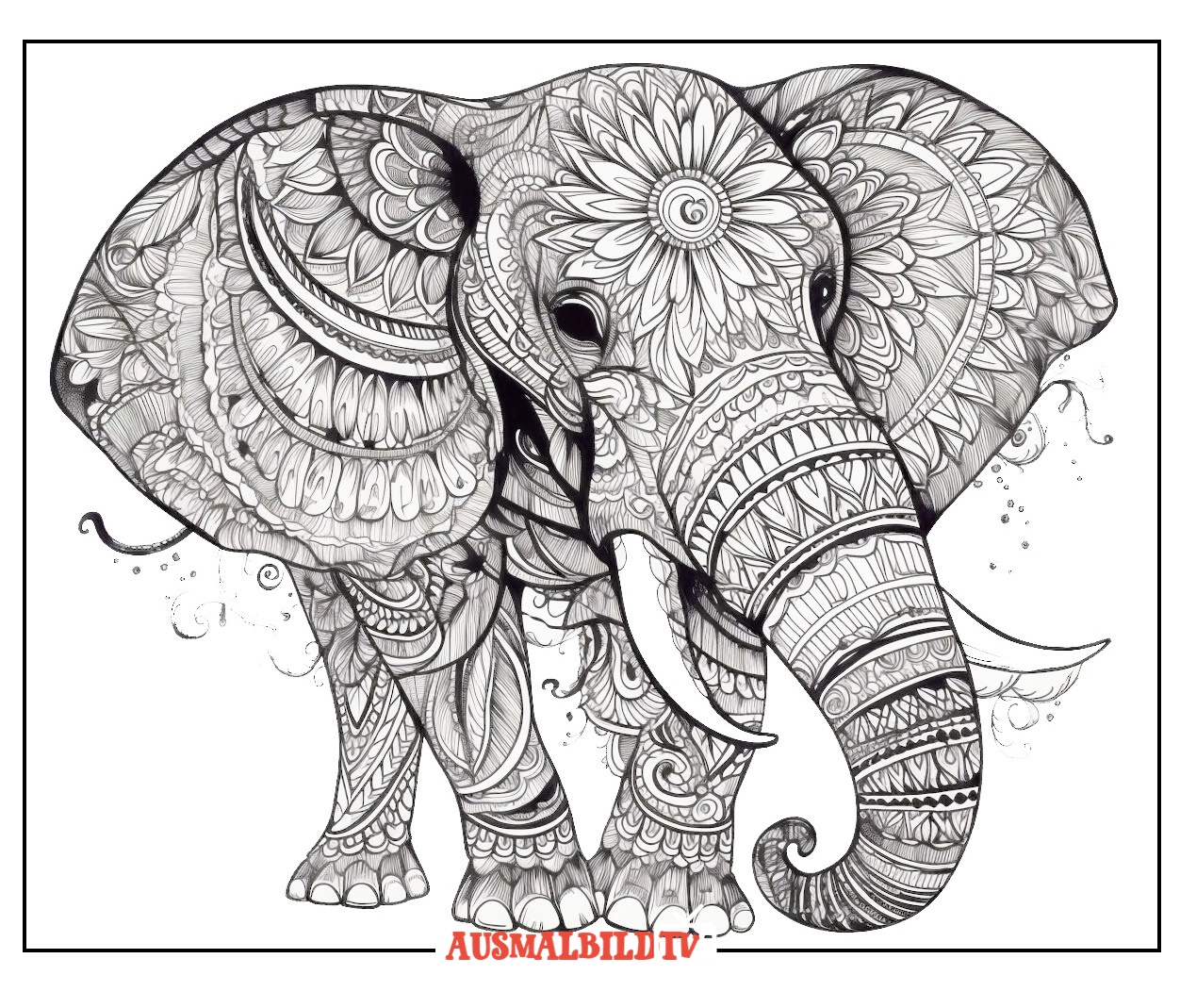 Ausmalbild Elefant für Erwachsene zum Ausdrucken