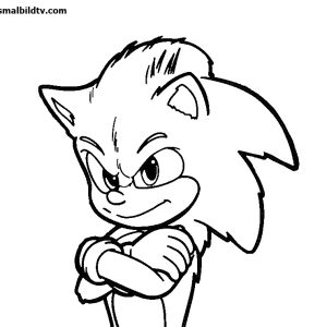 Ausmalbilder Sonic Boom - Video Spiele Bilder